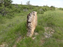 Dolmen de la Bergerie 1