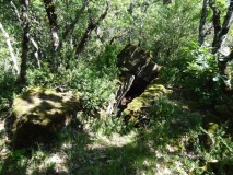 Dolmen des Bouscaillous 3