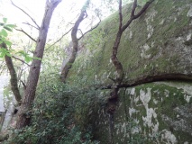 Le Mur de la Mort