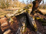 Bouyé Dolmen - PID:237050