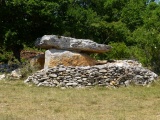 Dolmen de Combes-Hautes - PID:133619