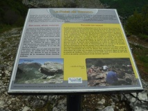 Palet de Sanson
