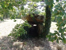 Dolmen de Nougayrol