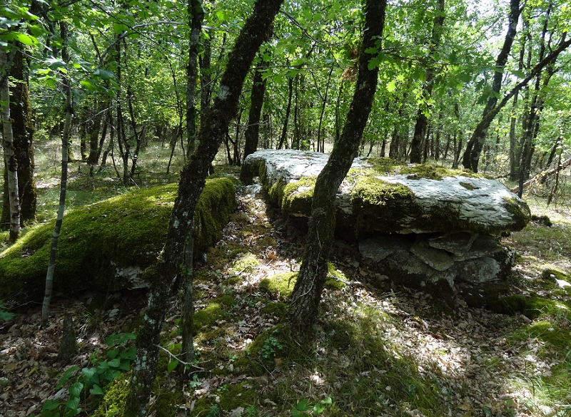 Click for the gallery page to add comments and vote (PID:176098) Dolmen des Vayssières