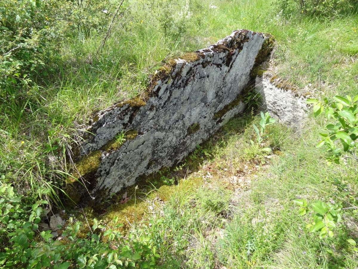 Dolmen des Vayssettes 2