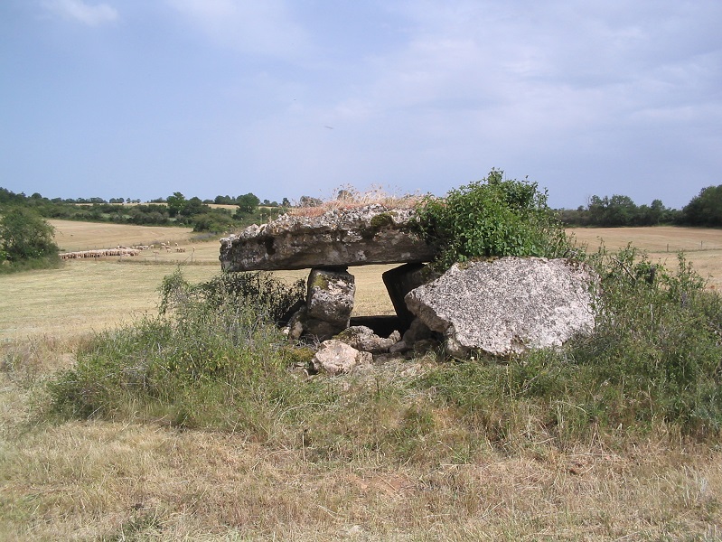 Dolmen de Gagnac 1