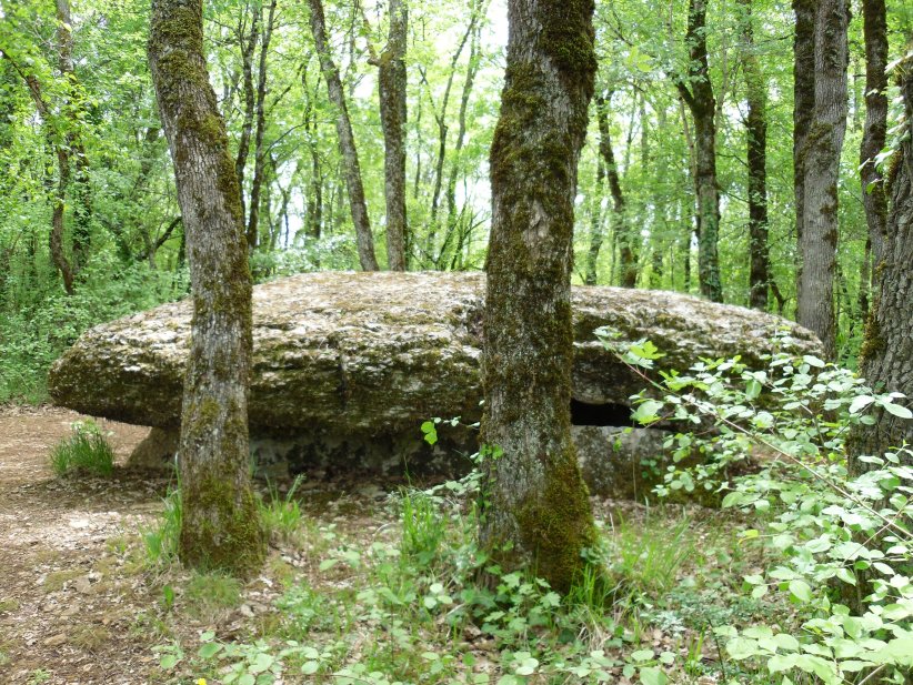 Dolmen du Bois del Rey