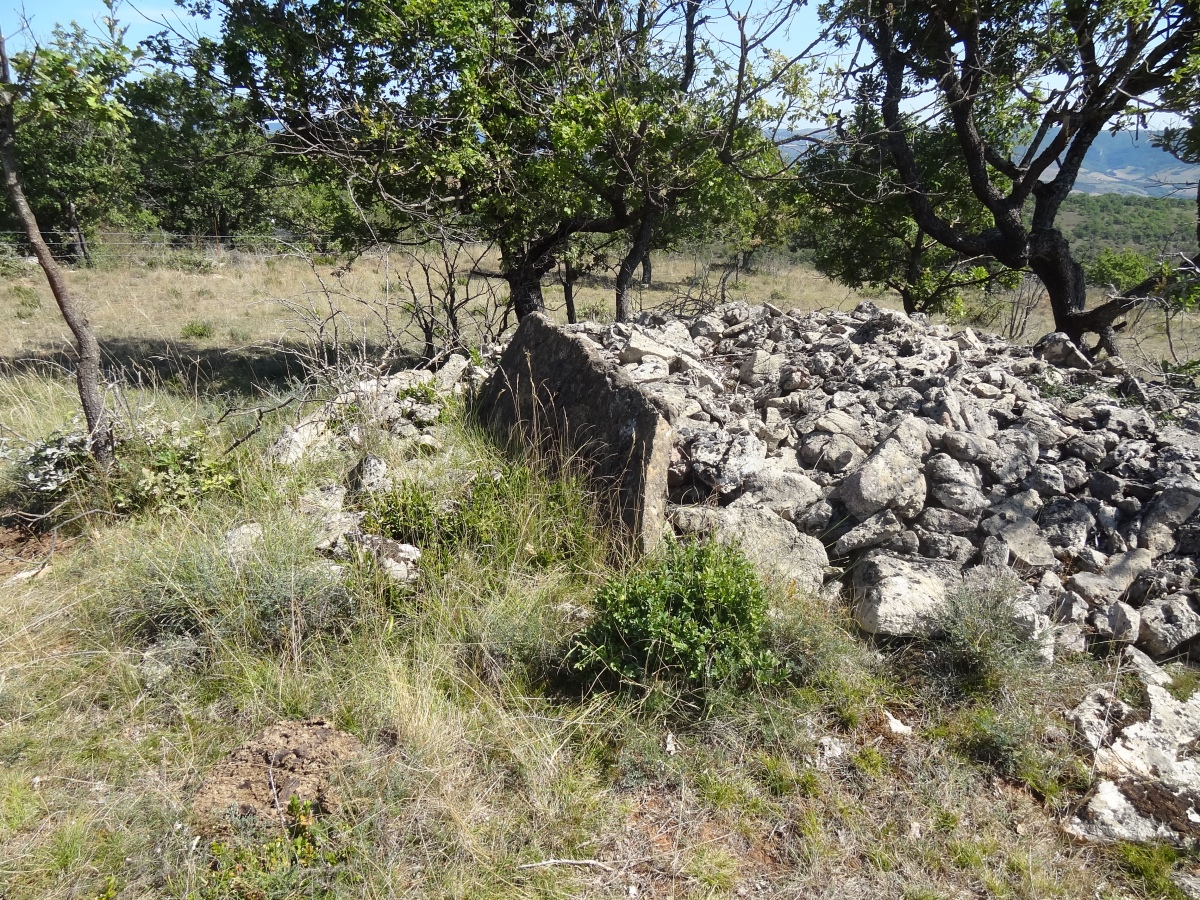 Click for the gallery page to add comments and vote (PID:235543) Dolmen de Mongisty 7