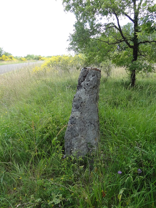 Click for the gallery page to add comments and vote (PID:176705) Pierre Plantée (Les Boules)