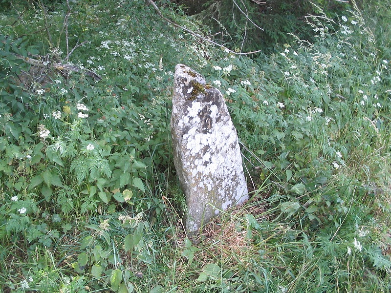 Click for the gallery page to add comments and vote (PID:189308) Croix-de-Condomines menhir