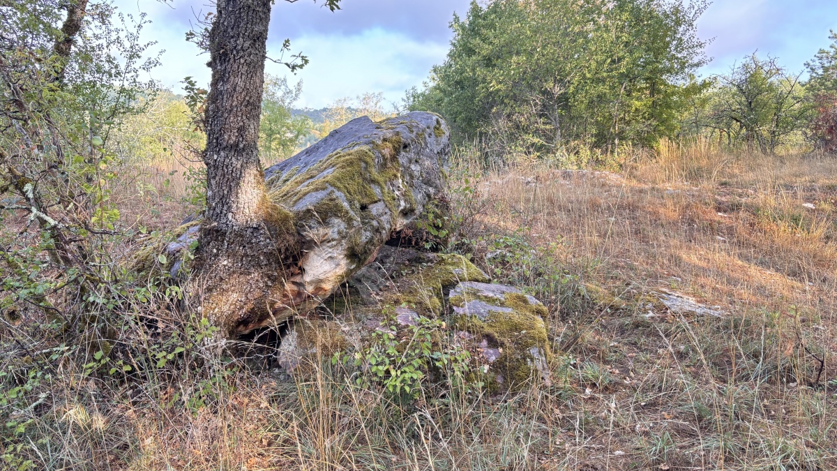 Click for the gallery page to add comments and vote (PID:309277) Dolmen des Trois Pierres