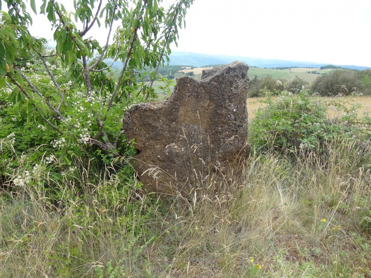 Navas menhir 2