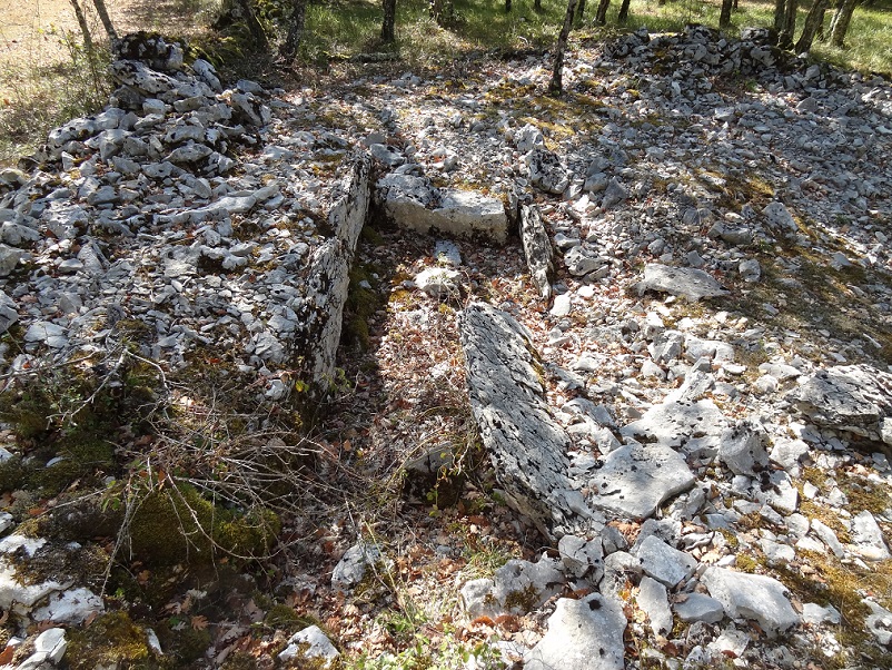 Click for the gallery page to add comments and vote (PID:188389) Dolmen de Pécoupet