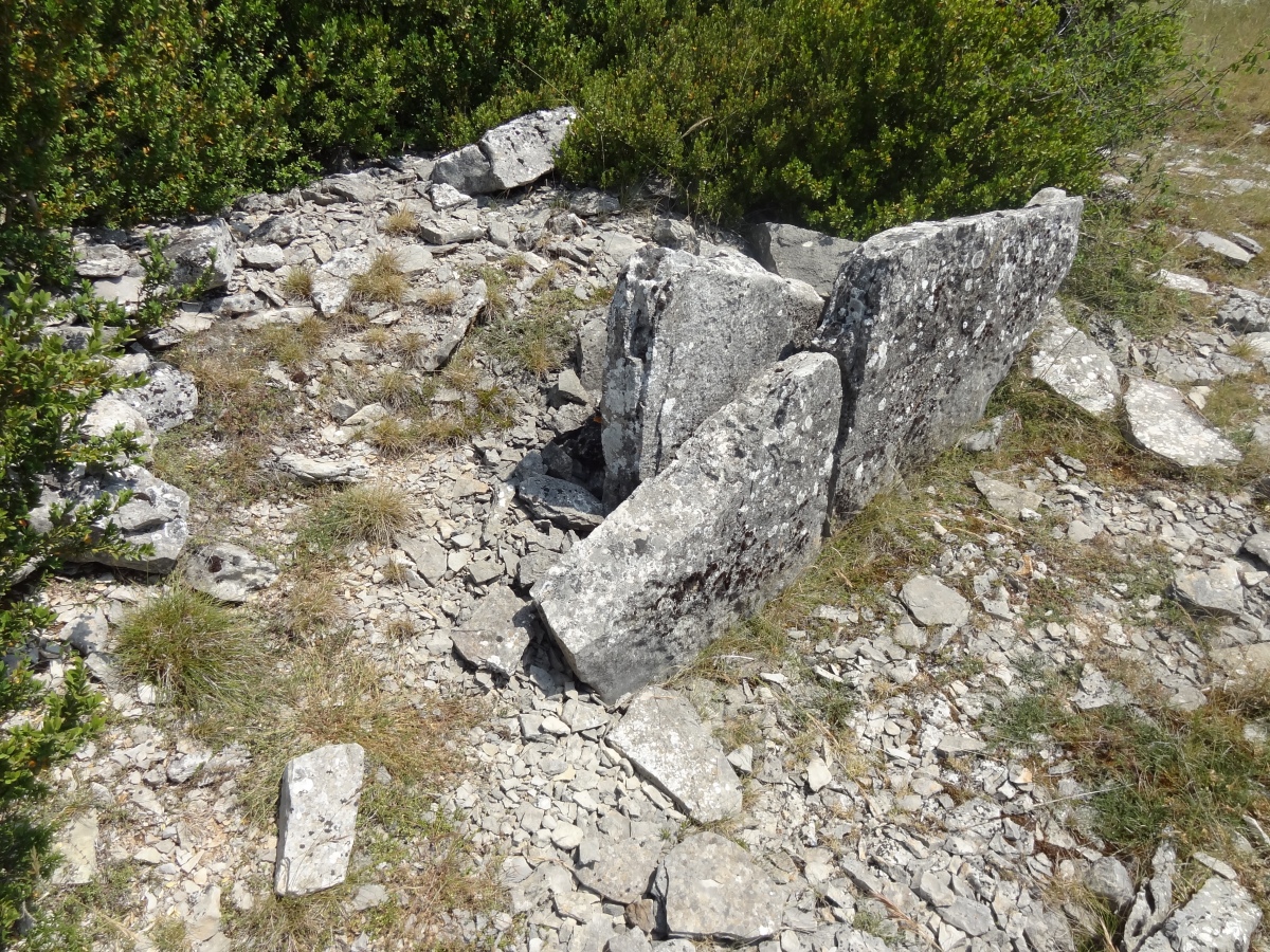 Dolmen de Saint-Martin-du-Larzac 4