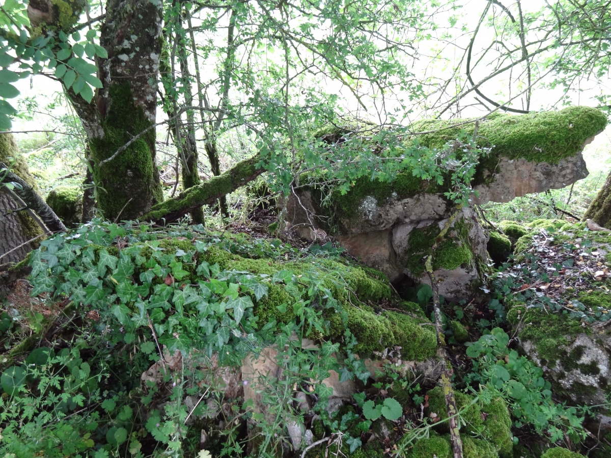 Dolmen de Billorgues (Salles-la-Source)