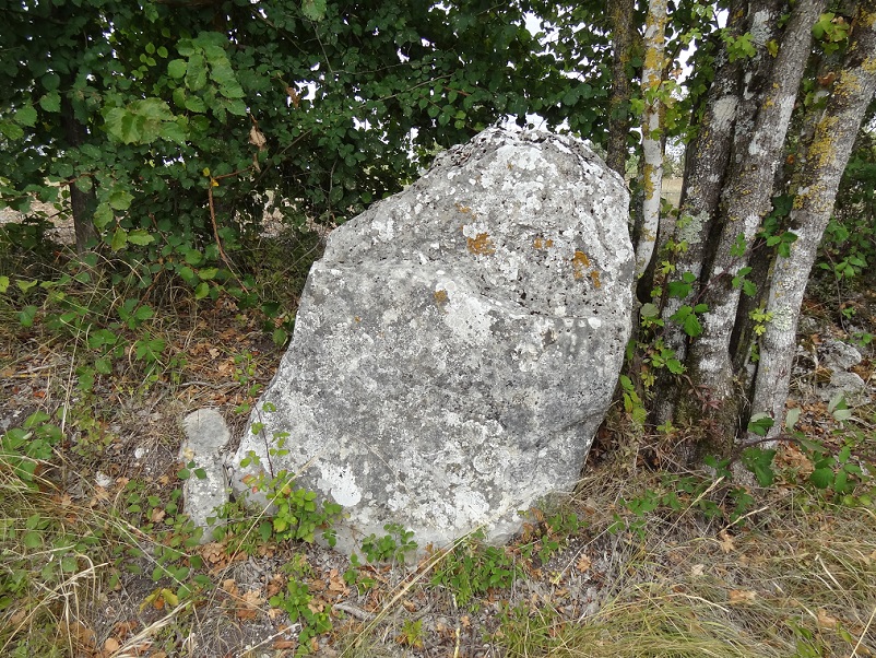 Click for the gallery page to add comments and vote (PID:188356) Menhir de Peyrerufe