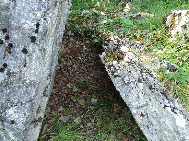 Dolmen du Cloup de Rhines