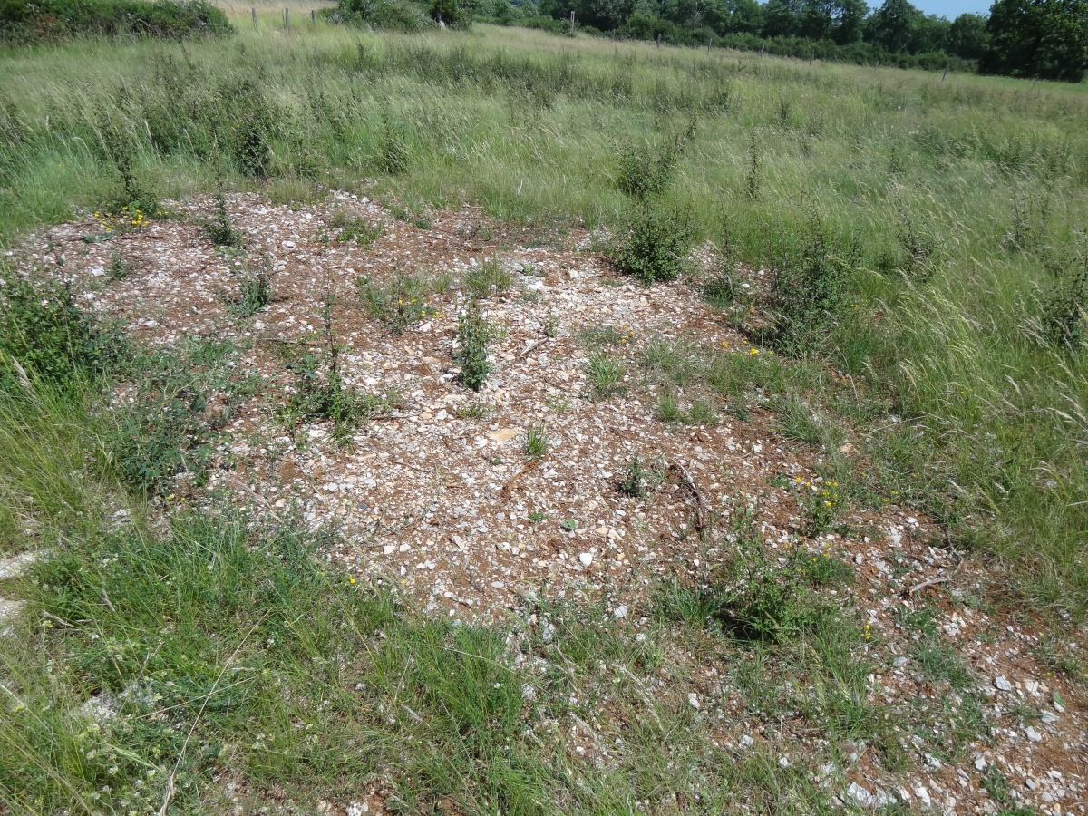 Dolmen de Vitarelle 2