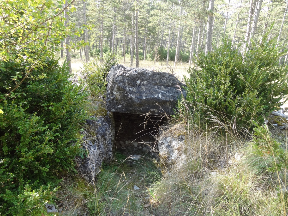 Dolmen de Bétpaumes