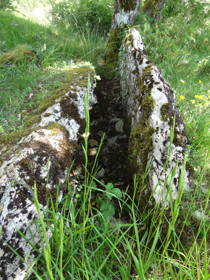 Dolmen de Ledenac