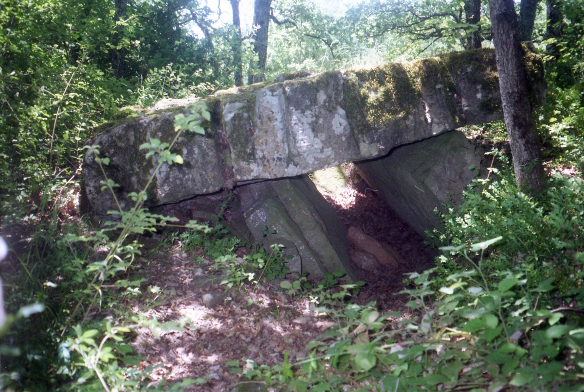 Dolmen de Concoules 2