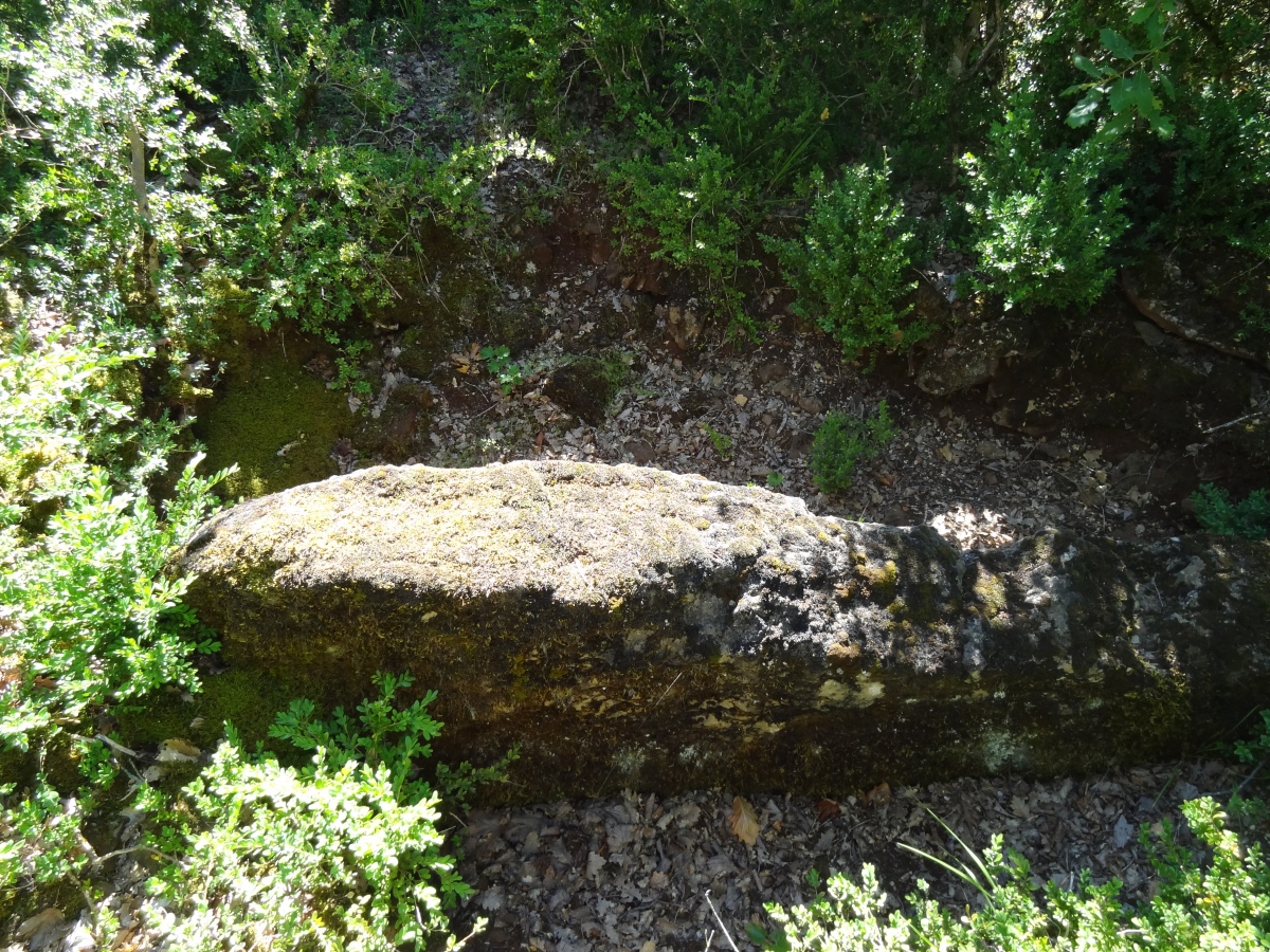 Dolmen des Bouscaillous 2
