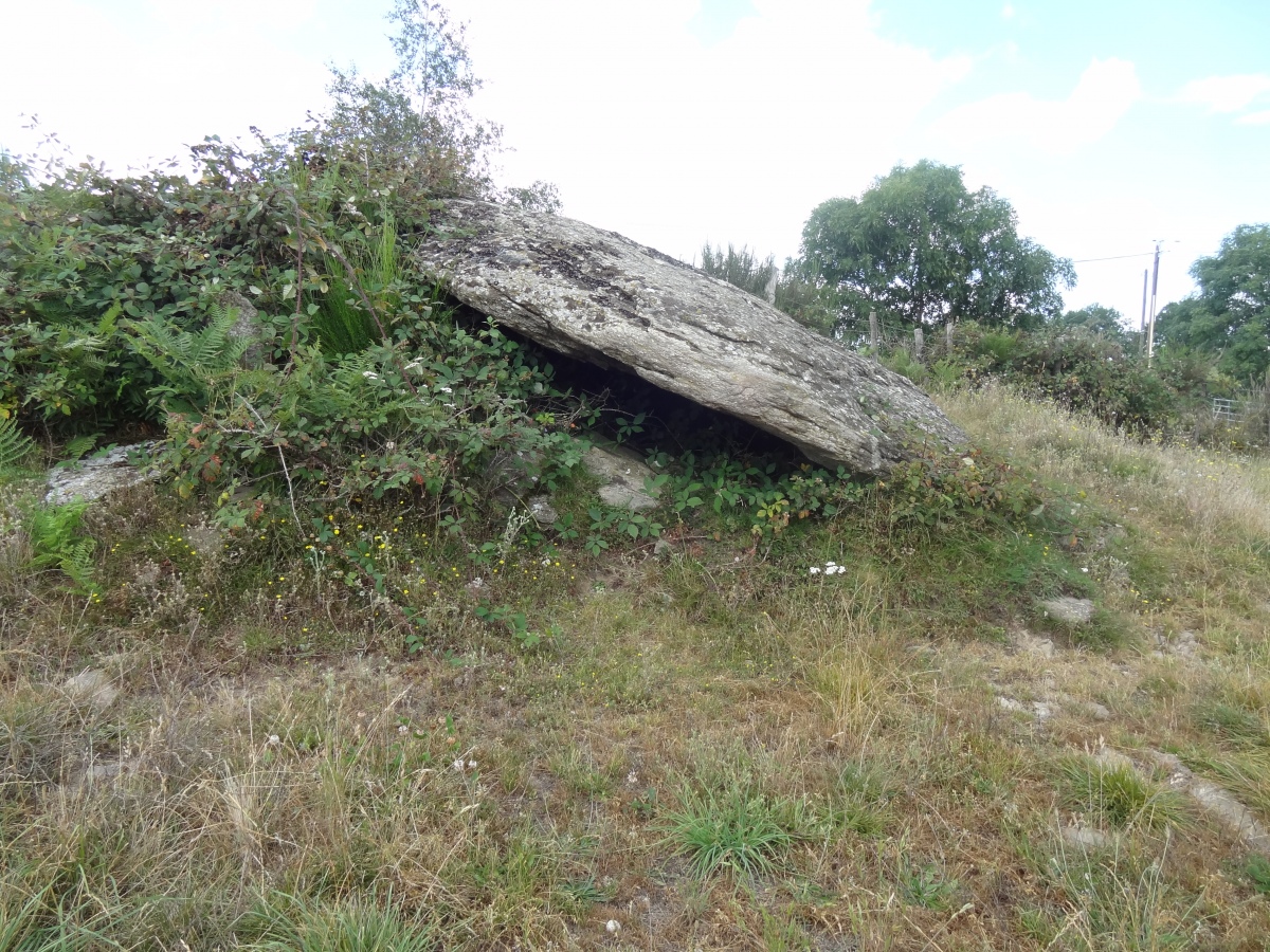 Click for the gallery page to add comments and vote (PID:235670) Dolmen du Mas Roucous