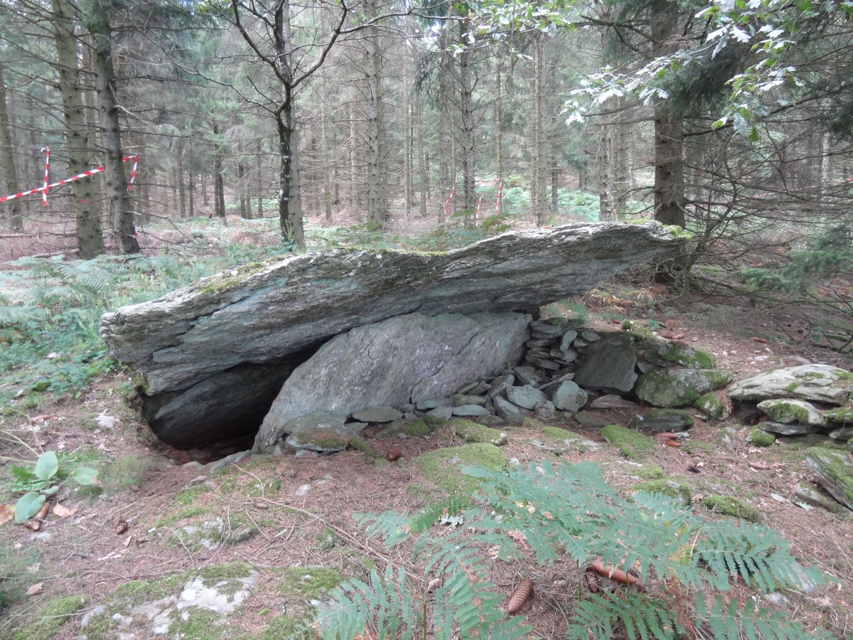 Click for the gallery page to add comments and vote (PID:235625) Dolmen de Candadès 1