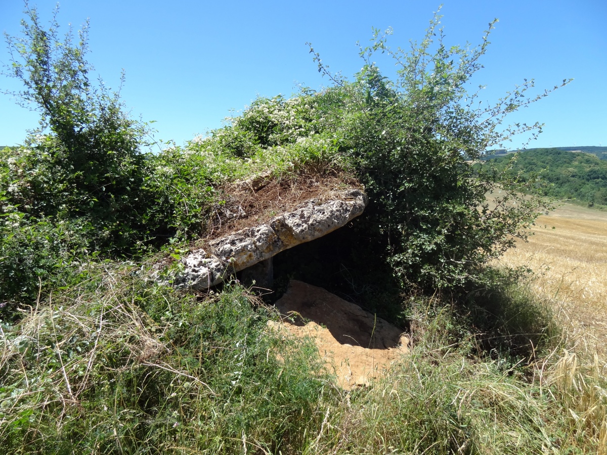 Dolmen de Rouviaguet 1