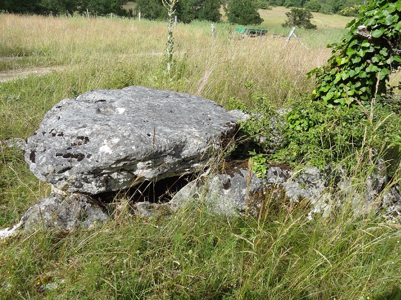 Click for the gallery page to add comments and vote (PID:176769) Dolmen de Pierre Basse