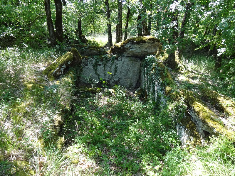 Click for the gallery page to add comments and vote (PID:175663) Dolmen du Pech Redon
