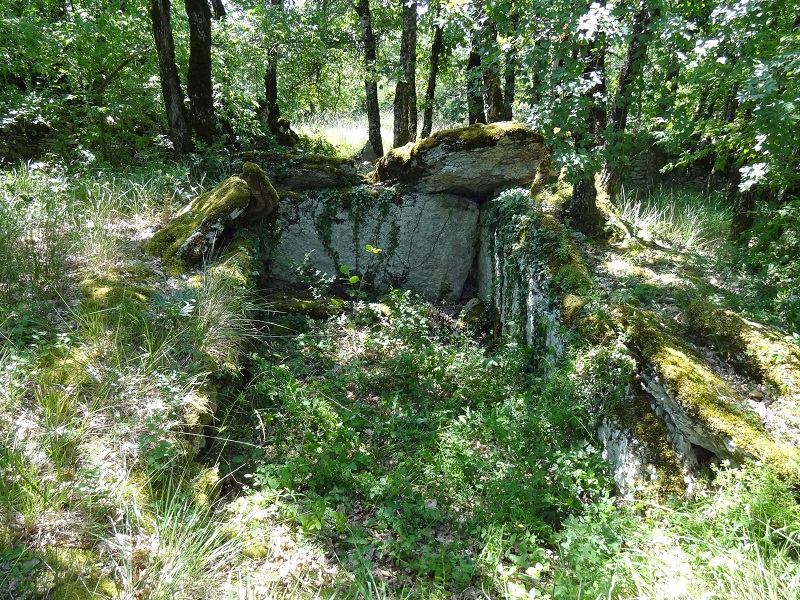 Dolmen du Pech Redon