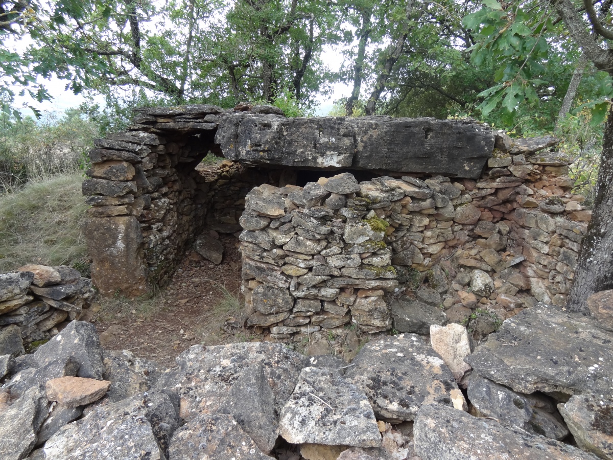 Click for the gallery page to add comments and vote (PID:235601) Dolmen de Brocuejouls 1