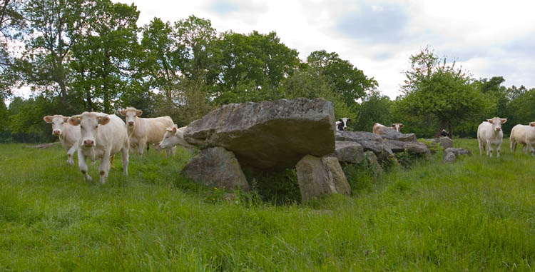 La Bertinière