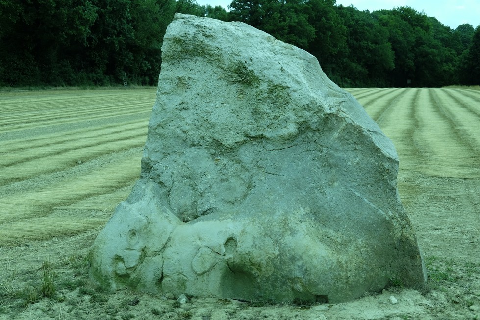 Menhir du Croc