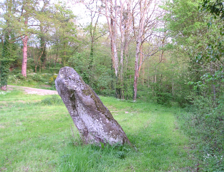 Menhir de la Courbe
