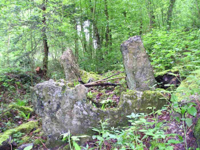 Mauny Allée Couverte, Eure. 

Almost lost in the woods, there is however a very nice half porthole stone which can still be made out. 