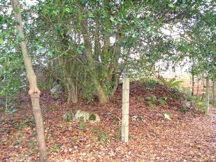 Dolmen du Bois de la Plesse