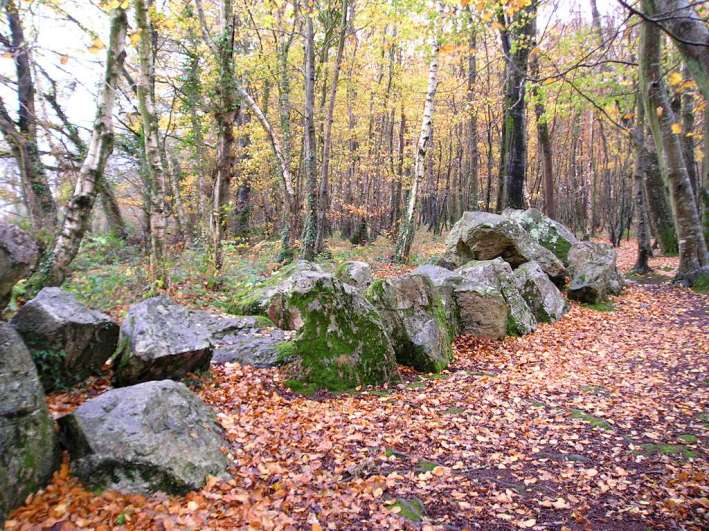 Petite Roche allée couverte