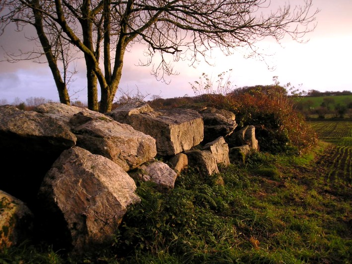 Autel des Druides des Moitiers d'Allonne