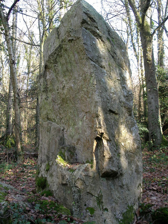 La Roche Piquée (St-Germain-le-Vasson)