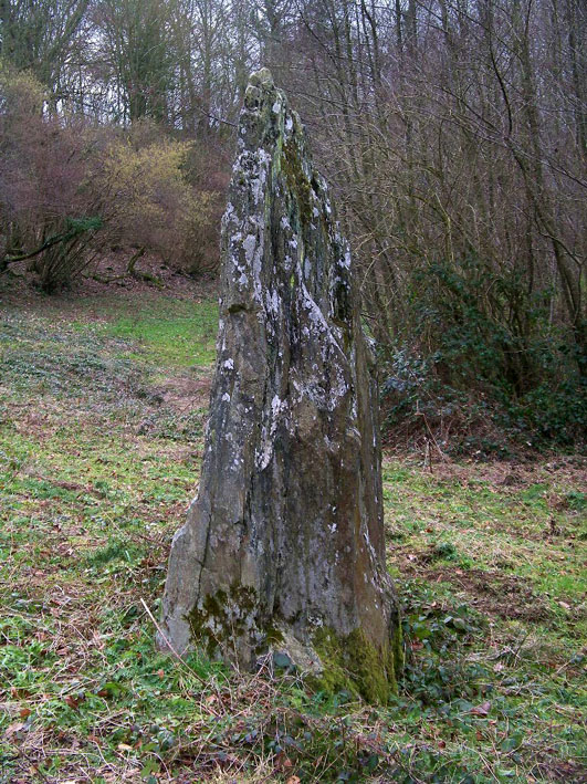 Site in Normandie:Calvados (14) France

