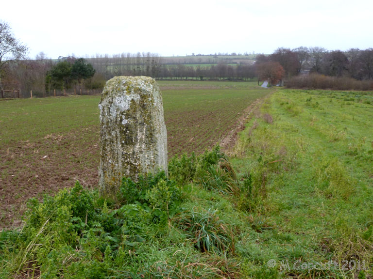 Menhir des Planches