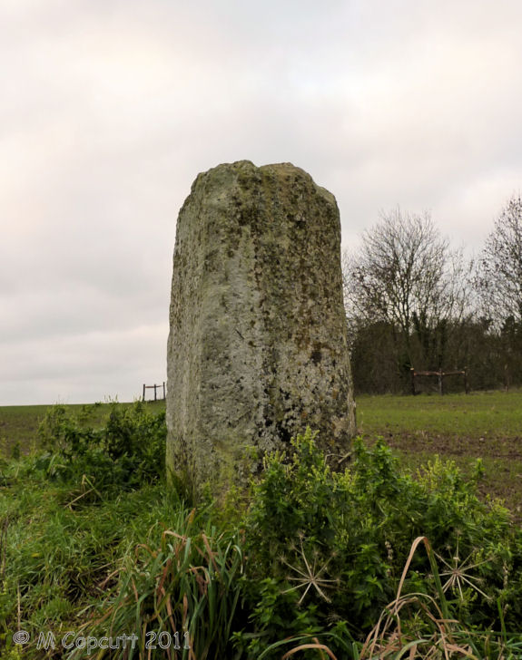 The stone is less than 1.5 metres tall, and shaped into about six smooth flat sides, although very irregular. 