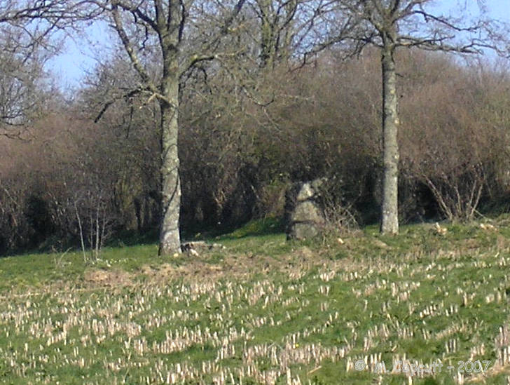 I could see the stone from the road nearby, and estimate it to be about 2 metres tall. It has a similar sized stone laying flat nearby. 
