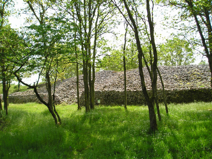 Camp Celtique de Bière