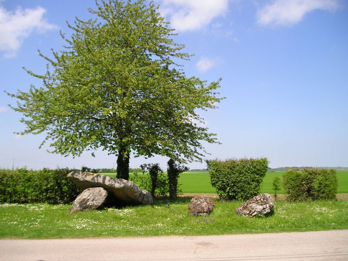 Dolmen dit Pierre-Levée (Fontaine)