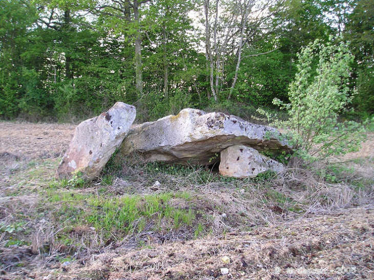 Dolmen de la Pierre Couplée