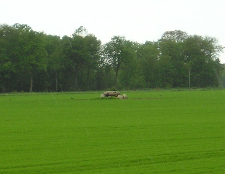 Pierre des Druides, or Hotel Dieu dolmen, near to the village of Les Ventes, seen in its field on a terribly wet morning in May.