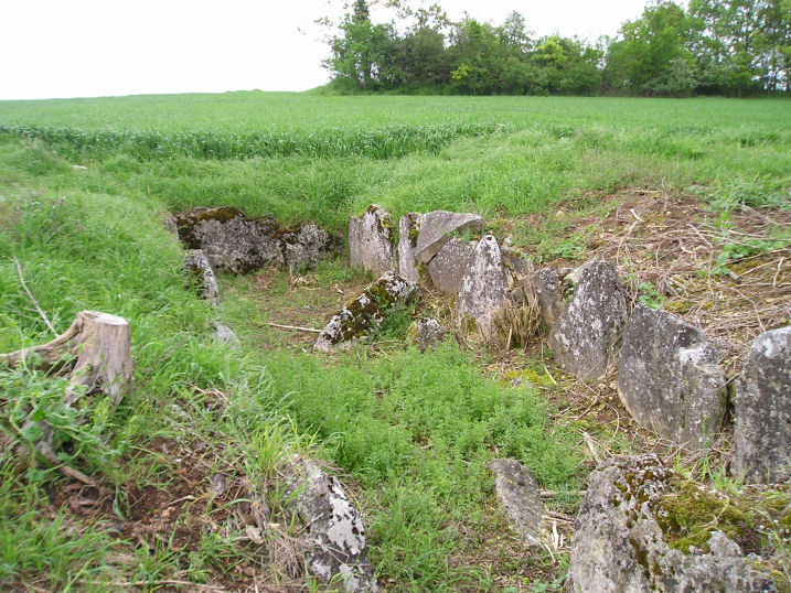 Vielle Cote Dolmen
A much ruined trench grave about 10 metres in length.